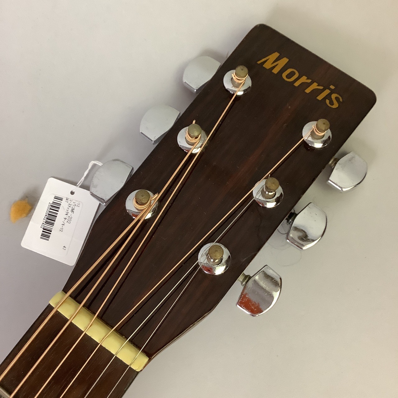 Morris MF-202 モーリス アコースティックギター - アコースティックギター