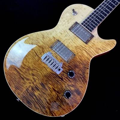 T's Guitars  Arc-Singlecut Tochi Lux ティーズギター 【 成田ボンベルタ店 】