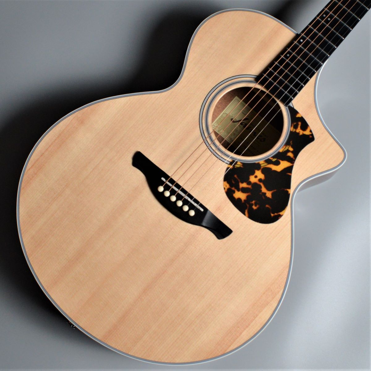 格安店James アコースティックギターJ-300D/TSB ギター