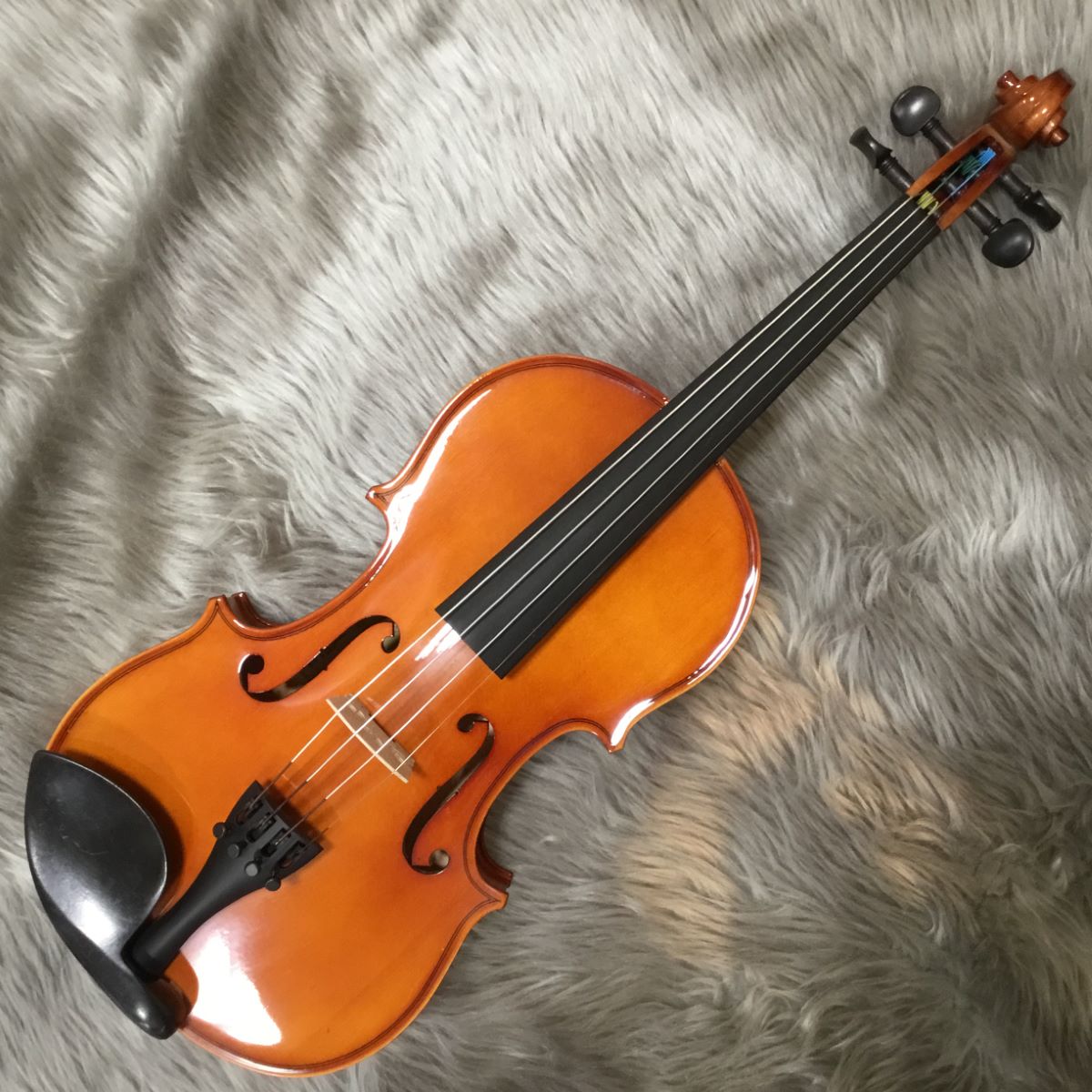 Carlo giordano バイオリン VS-1 1/4サイズ 2011年 ホビー・楽器 