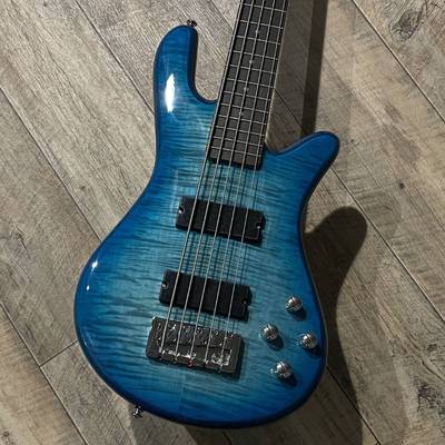 Spector Legend5 Standard / Blue Stain Gloss スペクター 【 新宿 