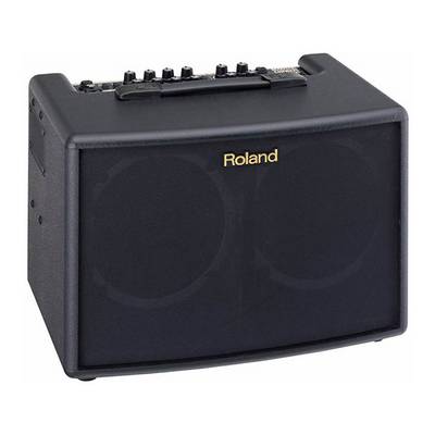 Roland (ローランド)AC-33 アコースティックギター用 ステレオアンプ 
