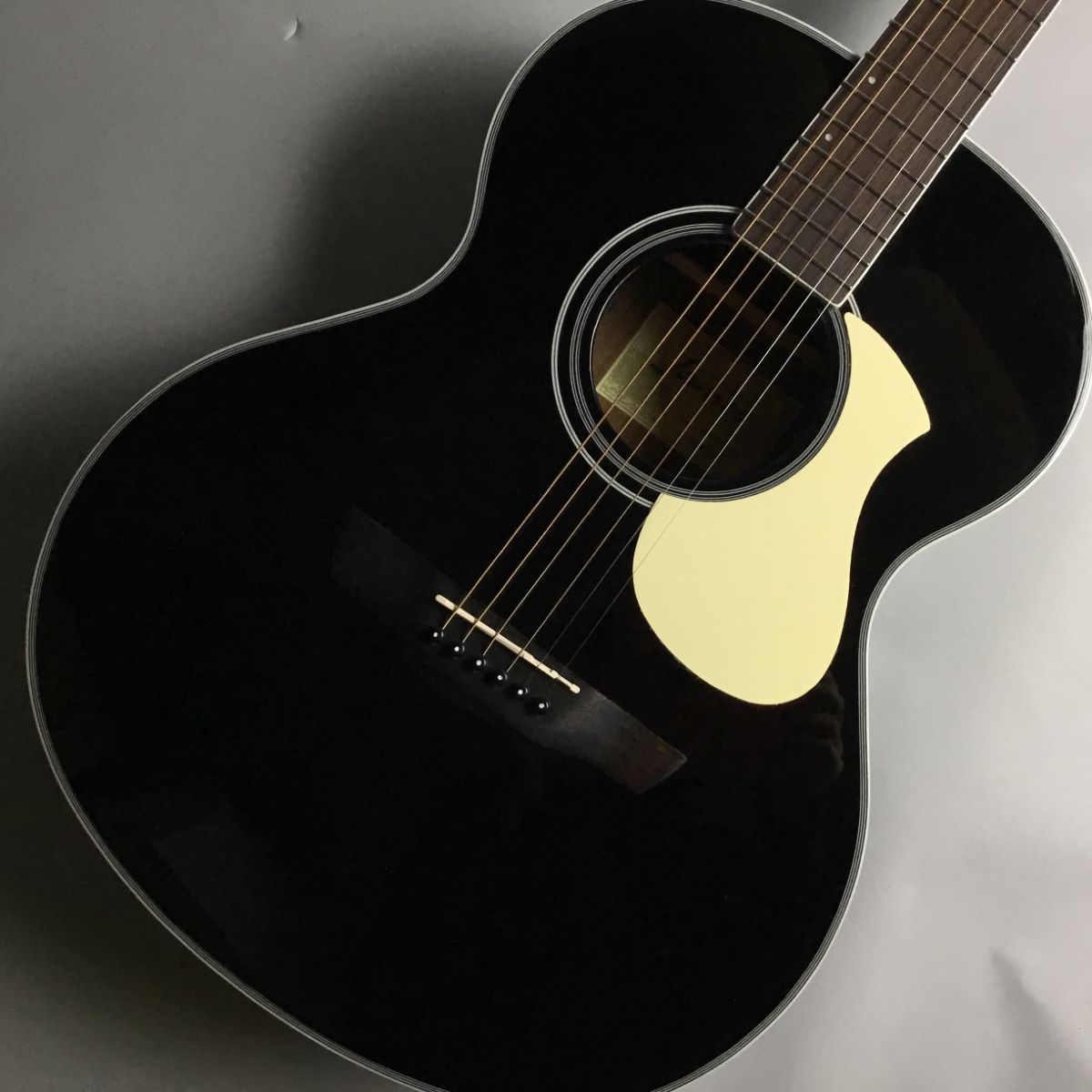 James J-450A/Ova BLK ジェームスエレアコギター - ギター