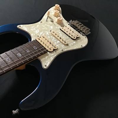 Freedom Custom Guitar Research  Hydra Classic 22F フリーダム 【 イオン新浦安店 】