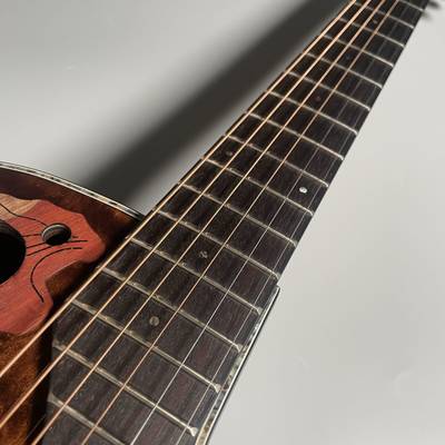 Ovation Celebrity CE44P-TGE-G エレアコギター／セレブリティ・エリート オベーション セレブリティ 【 イオン新浦安店 】  | 島村楽器オンラインストア