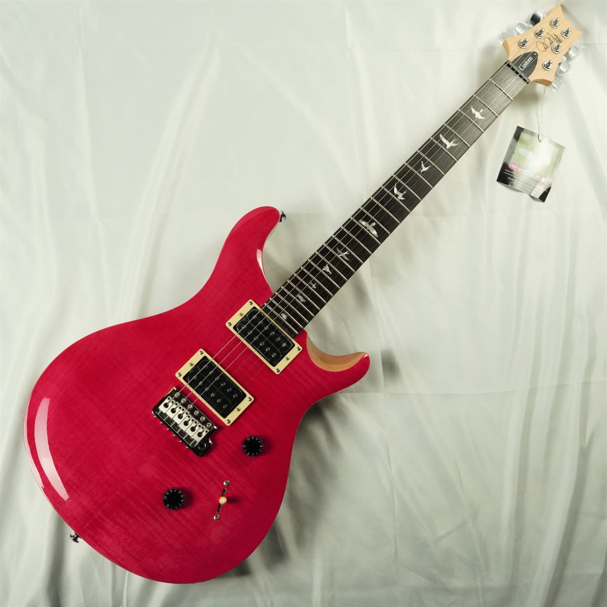 エレキギターの練習を始めましたPRS SE custom24 n bt エレキギター ...