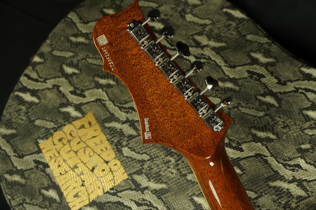 Freedom Custom Guitar Research Order Style RRC-02 /Vintage Burst 