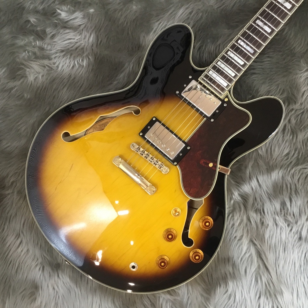 Epiphone シェラトン 93年製 ビンテージ - lapbm.org