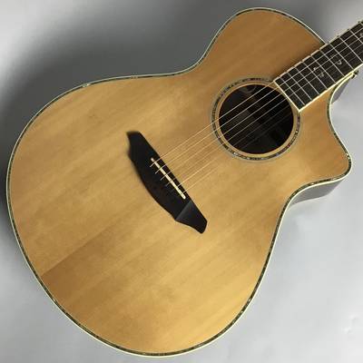 breedlove AC25/SR PLUS 【エレアコギター】 ブリードラブ