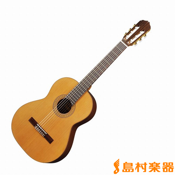 RAIMUNDO 118C クラシックギター スペイン製ハンドメイド ハードケース ...