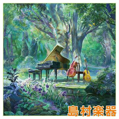 TORAY  K1919P-GREEN Evergreen Project 楽器用クリーニングクロス トウレ 【 パークプレイス大分店 】