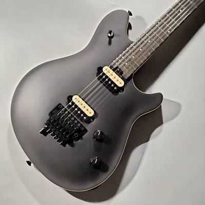 EVH Wolfgang Special エディ・ヴァン・ヘイレン ウルフギャング