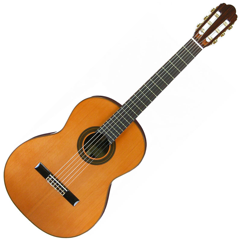 Aria A-50C-63(ハードケース付) ギター