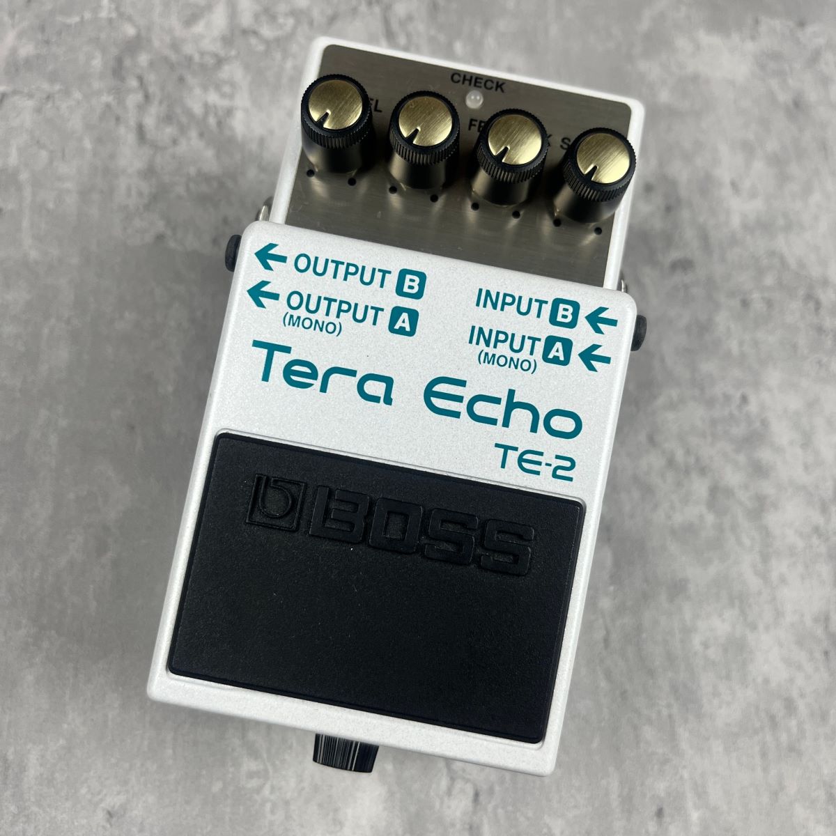 Tera Echo BOSS TE-2