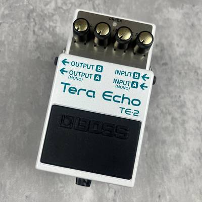 BOSS TE-2 Tera Echo コンパクトエフェクターTE2 ボス 【 イオン