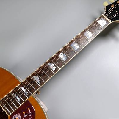 Epiphone Masterbilt J-200 ANAG エピフォン 【 りんくうプレミアム 