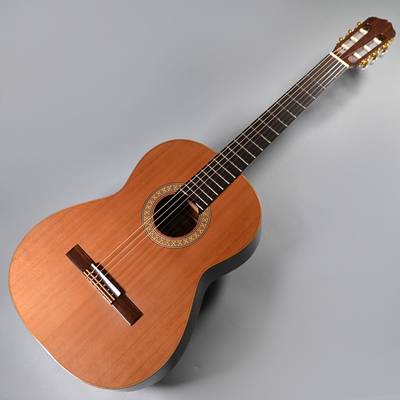 新作大人気Raimundo 118C クラシックギター レイモンド ハードケース付き ギター
