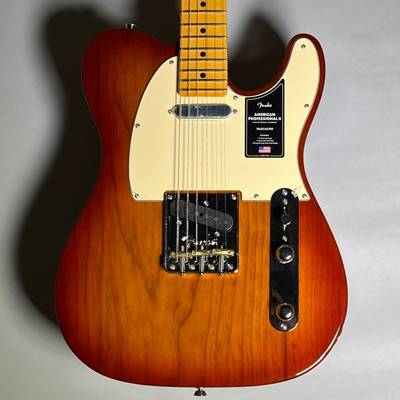 Fender American Professional II Telecaster Maple Fingerboard