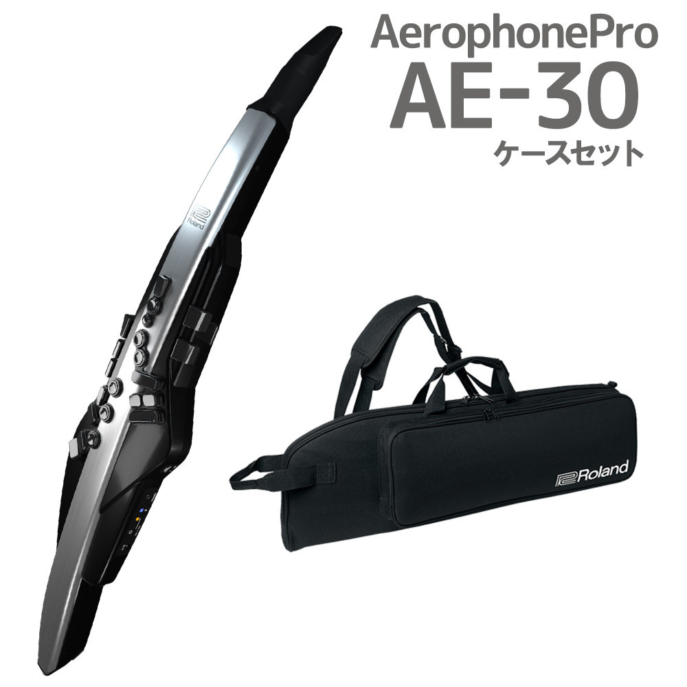 ウィンドシンセサイザーRoland Aerophone Pro AE-30