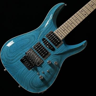 G-Life Guitars  DSG Buzz Schaller/Bora Bora Ocean Blue 【期間限定展示中】 Gライフギターズ 【 イオンモール岡山店 】