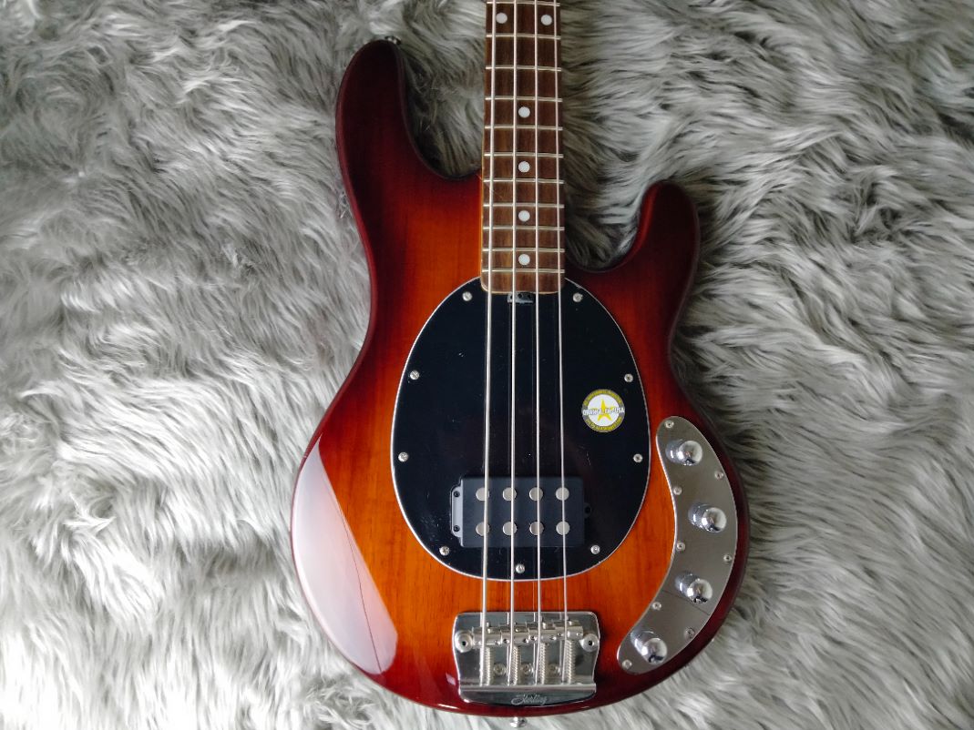 Sterling by MUSIC MAN Ray34 ミュージックマン
