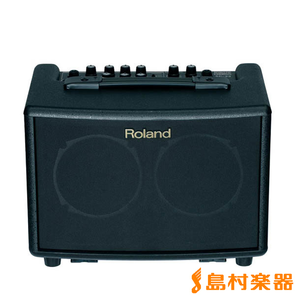 Roland AC-33 アコースティック専用アンプ 電池駆動可能 ローランド ...