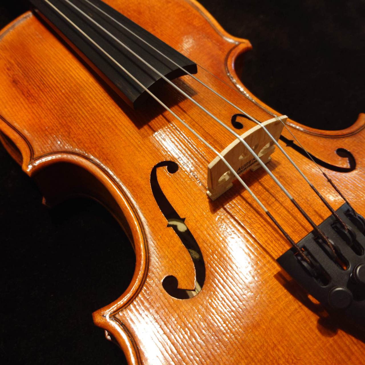 Nicolo Santi (ニコロ・サンティ)バイオリンセット NSN60S 1/8サイズ 