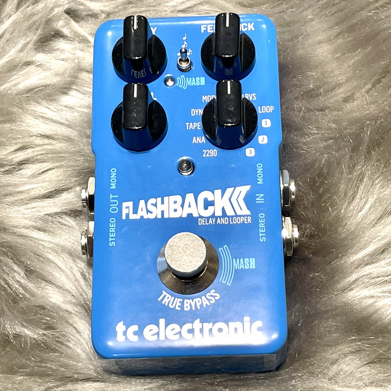 TC Electronic FLASHBACK 2 DELAY TC エレクトロニック 【 イオン 