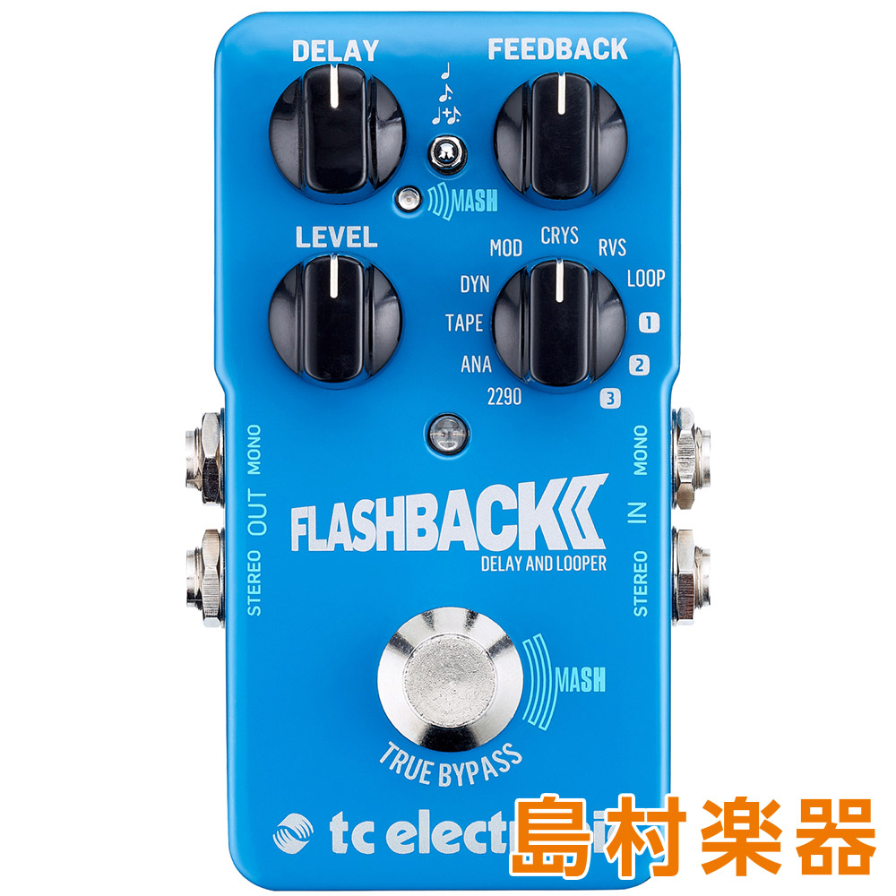 Z型プラグtc electronic FlashBack DELAY\u0026LOOPER - ギター