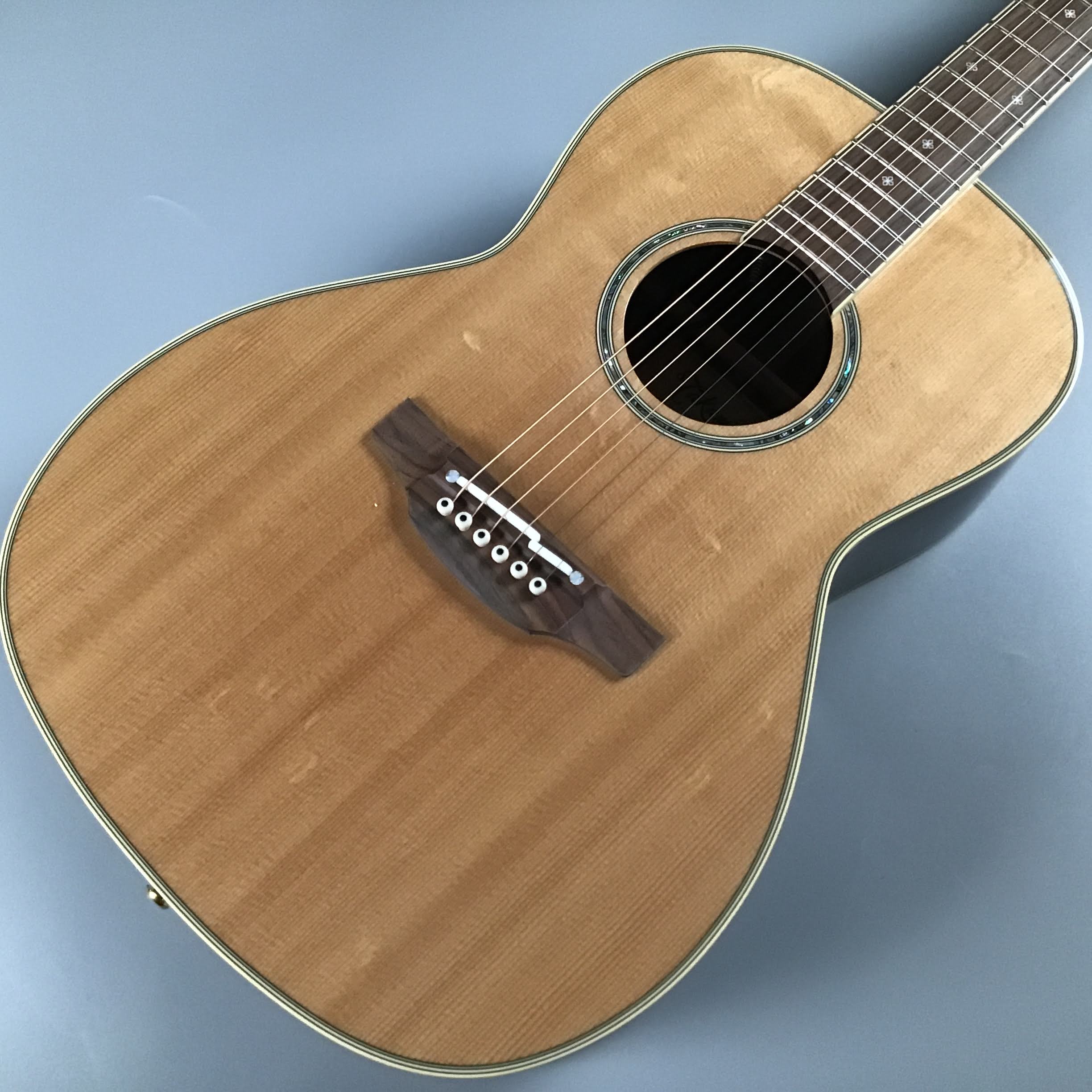高品質100%新品Takamine タカミネ アコースティックギター エレアコ NPT-012BS タカミネ