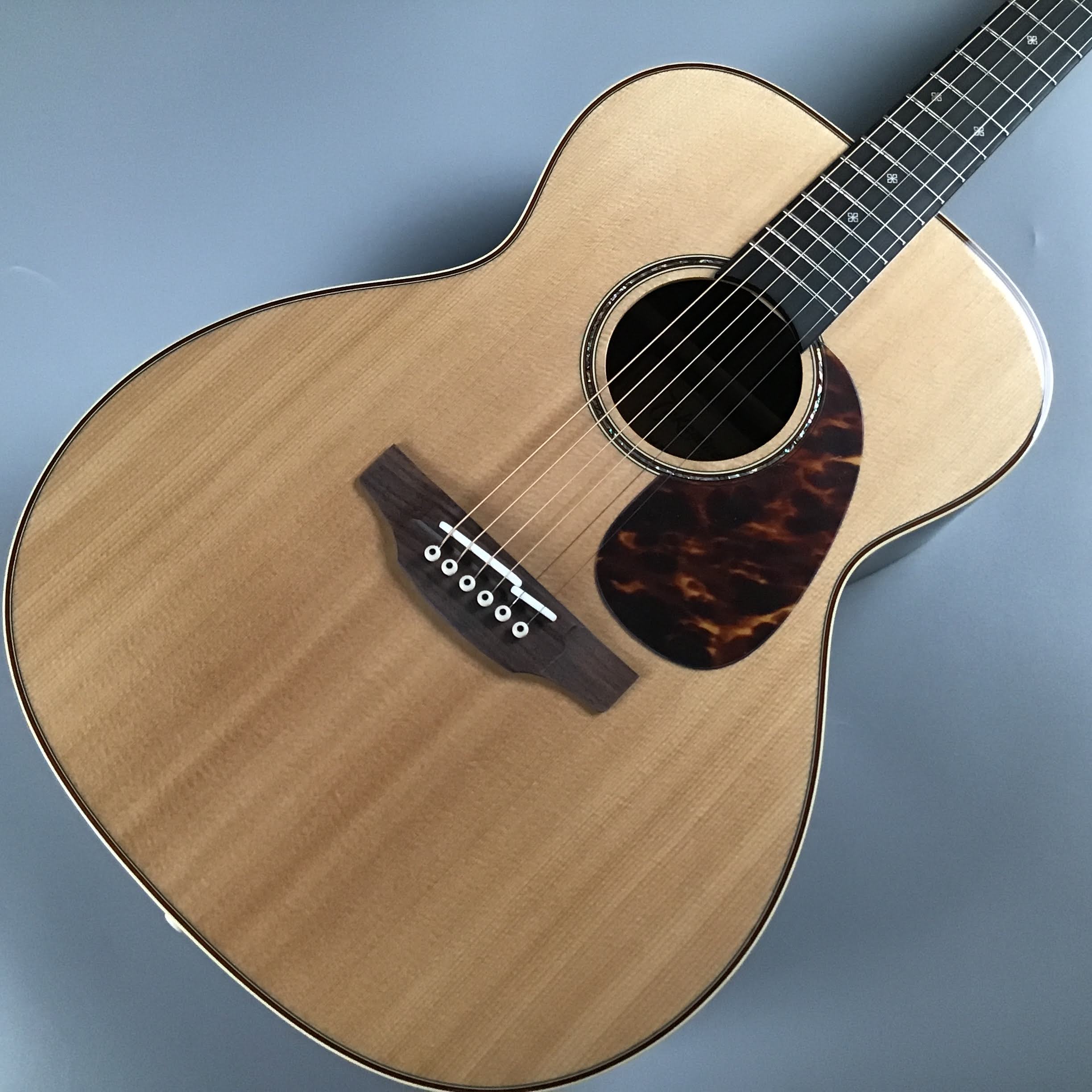 豊富な好評】 Takamine SA761 N タカミネ アコースティックギター (お