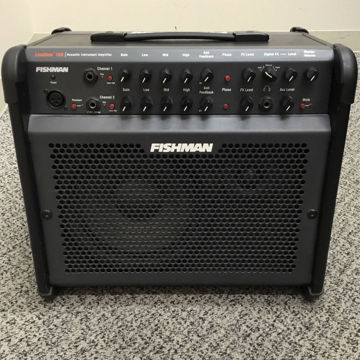 FISHMAN アコースティックアンプ Loudbox100 - アンプ