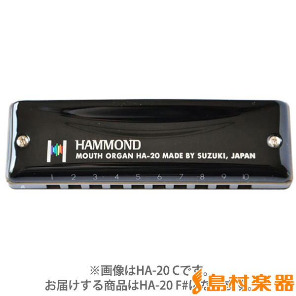 HAMMOND ハモンド 10穴ハーモニカ HAMMOND HA-20 D調 - 楽器、器材