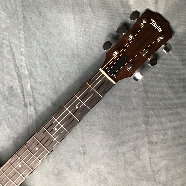 Taylor Academy 10 アコースティックギター テイラー 【 イオンモール 