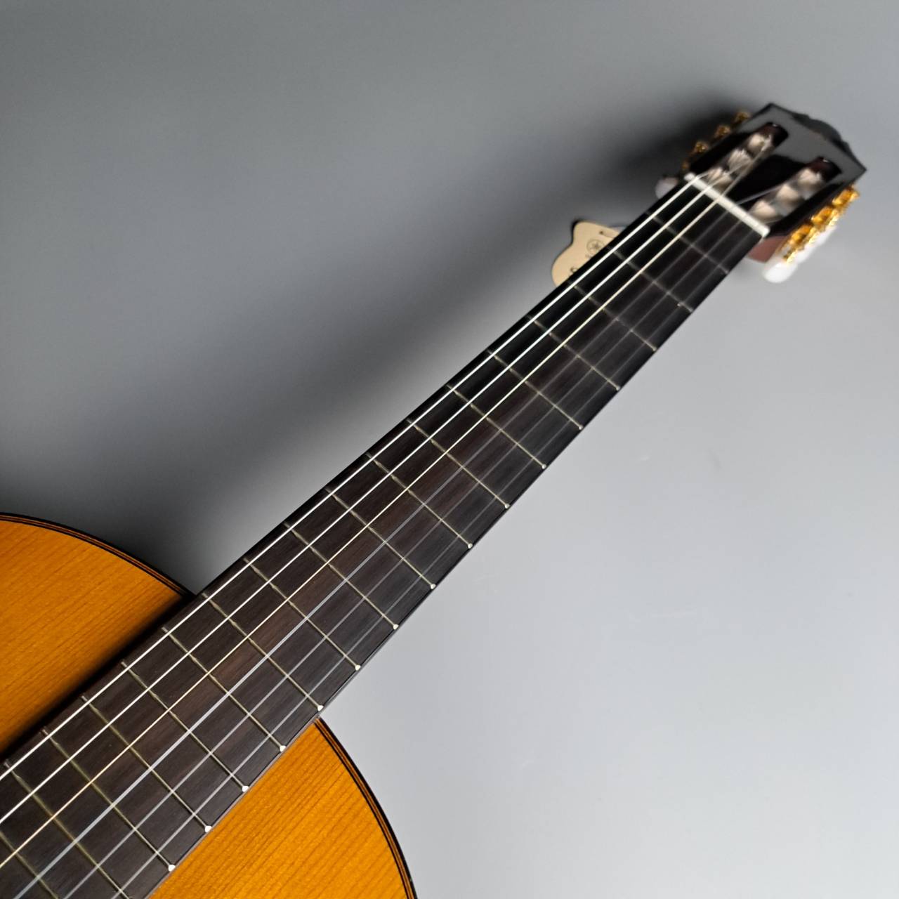 おすすめネット モーリス クラシックギター M-30 トップ単板 上位