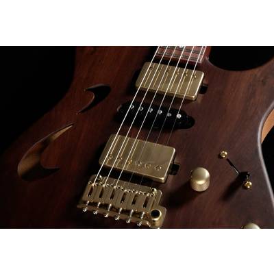 T's Guitars  DTL-22 Hollow/Brazilian Rosewood Neck & Body Top【ハカランダネック＆ボディトップ】 ティーズギター 【 静岡パルコ店 】 【ギタラバ2023】
