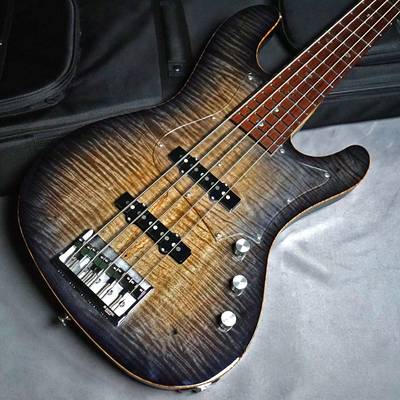 Freedom Custom Guitar Research  Rhino 5st Passive Maple Top TSSN -淡麗 笹鳴-【カスタムオーダー品】 フリーダム 【 ミーナ町田店 】