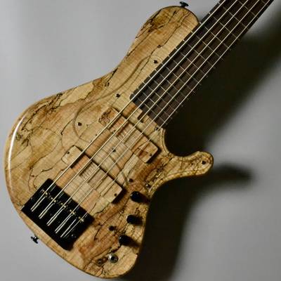 saitias guitars  Aquarius 5 Custom/Spalted Frame Maple サイティアスギター 【 イオンモール浜松市野店 】