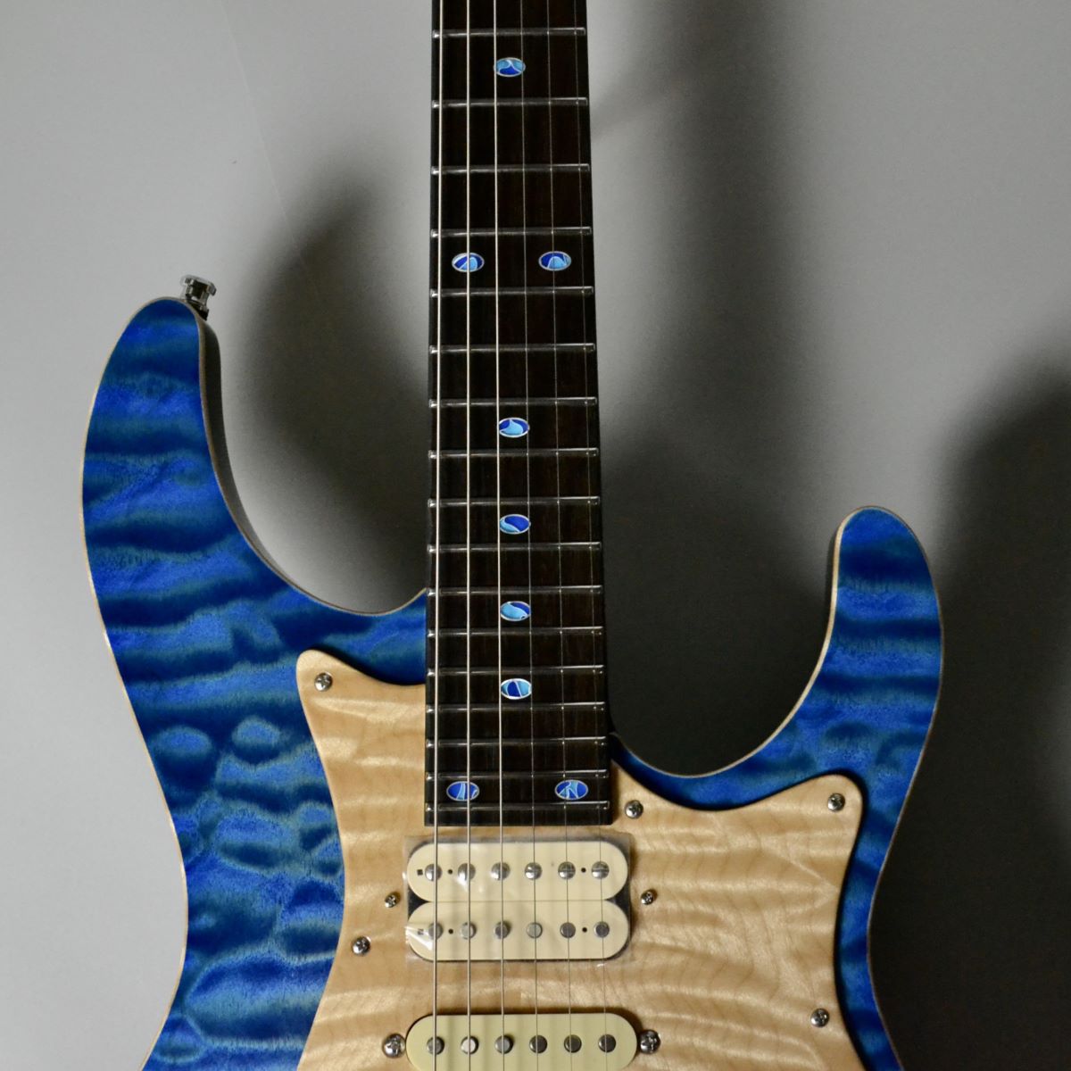 Freedom Custom Guitar Research Hydra Jacaranda Custom/SER(清流 