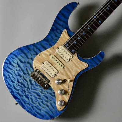 Freedom Custom Guitar Research  Hydra Jacaranda Custom/SER(清流) フリーダム 【 イオンモール浜松市野店 】