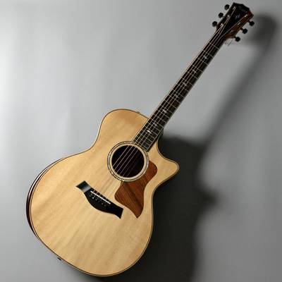 Taylor 814ce V-Class エレアコギター テイラー 【 イオンモール浜松 