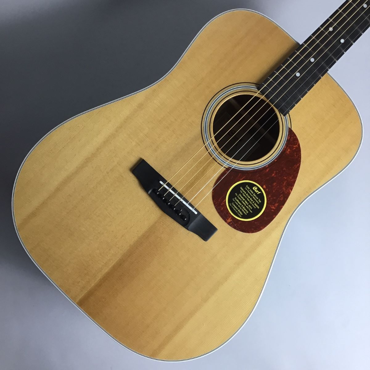 フェルナンデス W-200 アコースティックギター【新品弦交換・メンテナンス済み