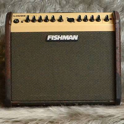 FISHMAN Loudbox Mini Amplifier PRO-LBX-JX5 (LBX500)【S/N