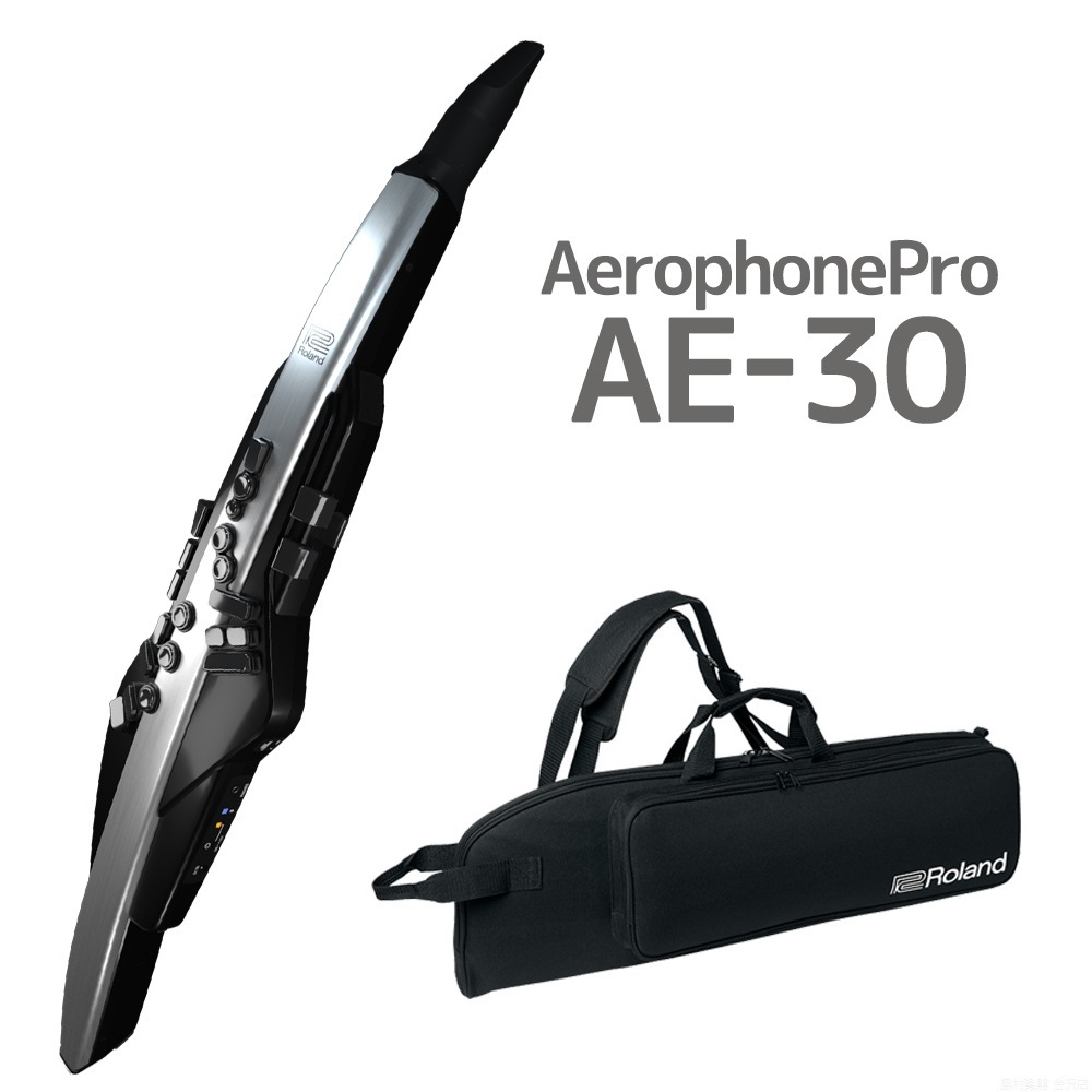 Roland Aerophone Pro AE-30 【在庫 - 有り】 ローランド 【 金沢 