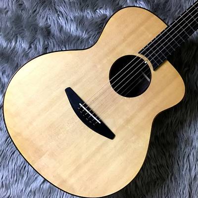 baden guitars  A-SR ベーデンギターズ 【 アリオ橋本店 】