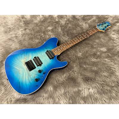 Sugi  DS496IR FB EM/AT スギギターズ 【二子玉川ライズ・ショッピングセンター店】