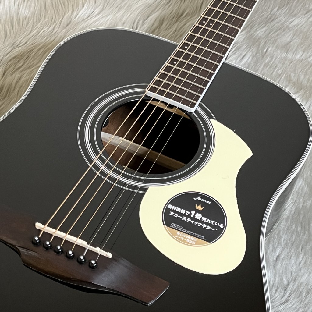 James J-450D/Ova Black アコースティックギター エレアコJ450DOva 