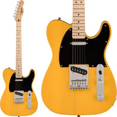 Squier by Fender  SONIC TELECASTER Maple Fingerboard Black Pickguard Butterscotch Blonde テレキャスター エレキギターソニック スクワイヤー / スクワイア 【 ららぽーと甲子園店 】