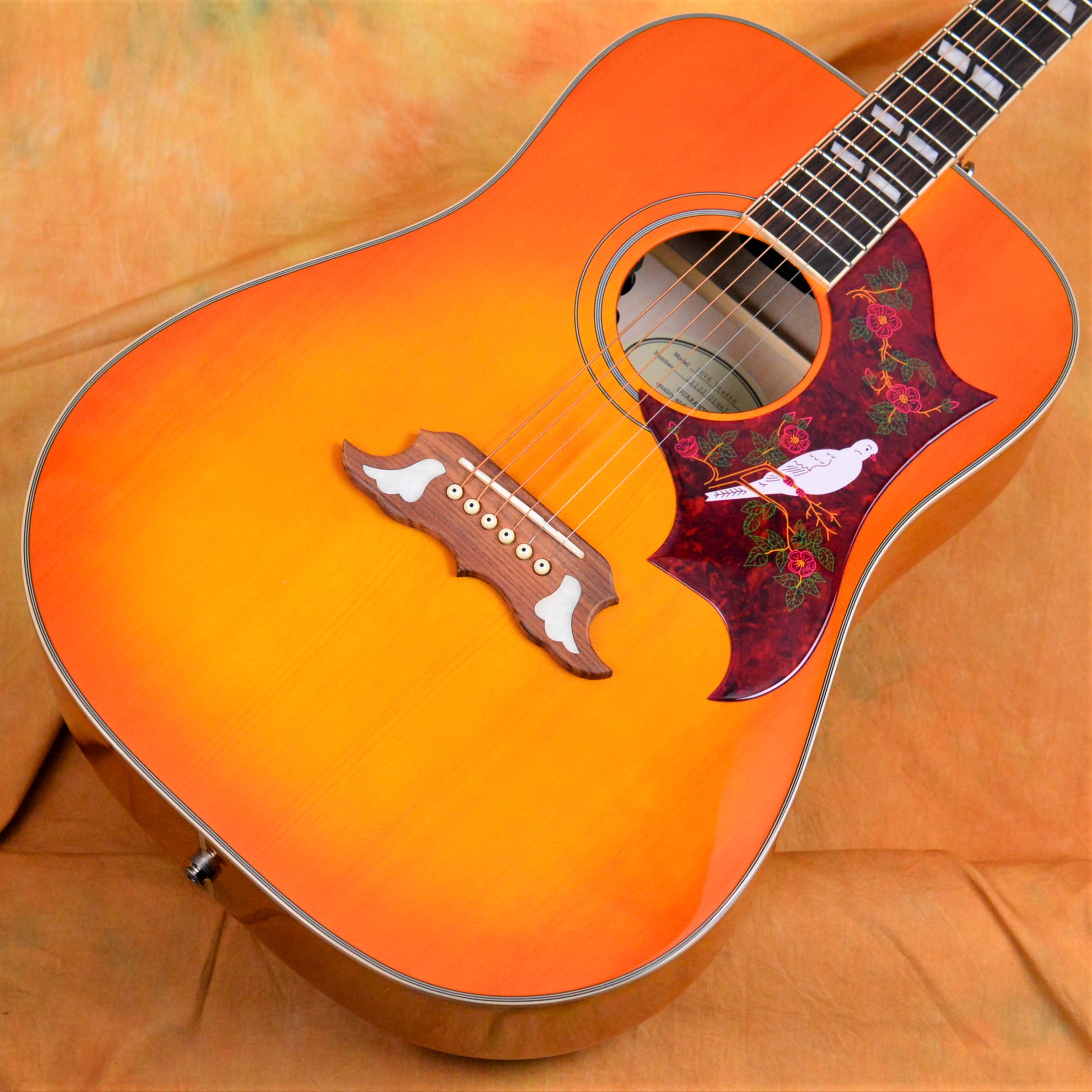 EPIPHONE DOVE PRO(エピフォン) エレアコギター | gkcsu.org