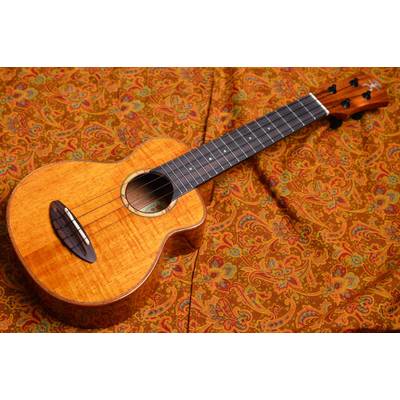 aNueNue US1K ソプラノウクレレ 2A Koa Bird UkuleleaNN-US1K アヌエヌエ 【 梅田ロフト店 】 |  島村楽器オンラインストア